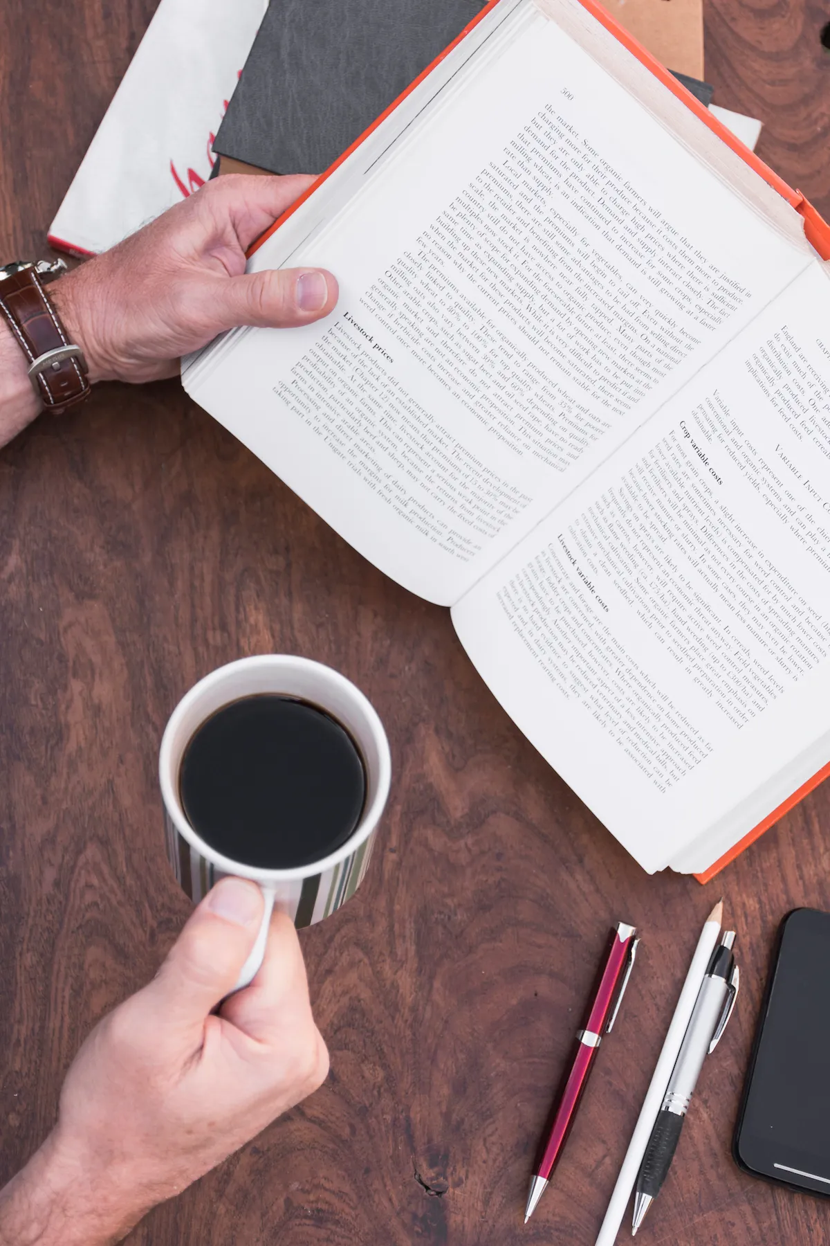 Professional editor proofreading a book manuscript